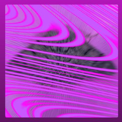 Peculiar Perpendicular Perspective Performative Personality part II