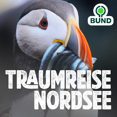 Kapitel 2 l Die Seevögel Kapitel 2 l Die Seevögel