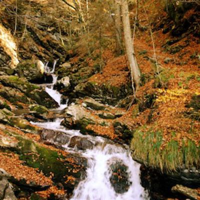 Tipps für Wanderungen im Herbst Tipps für Wanderungen im Herbst