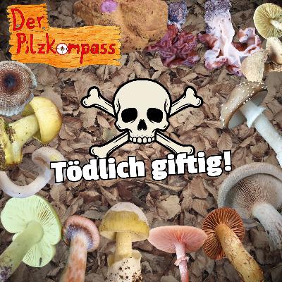 54 Knollenblätterpilze & Co. - Tödliche Giftpilze Deutschlands im Kreuzverhör