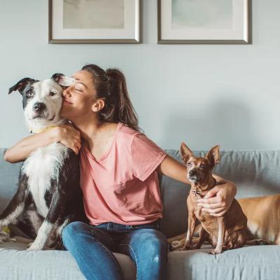 Does Pet Insurance Cover ACL Surgery? Your Complete Guide to Orthopedic Coverage