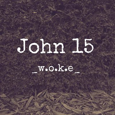 John 15: 1-17 / Juan 15: 1-17