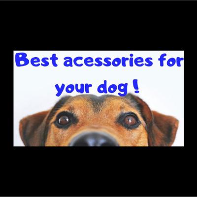 The coolest things you can get for your dog !