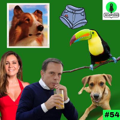 Revertério #54 - No auge Revertério #54 - No auge