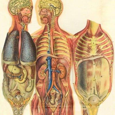 Instruments of self