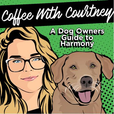 28 - Why Does My Dog Pull On The Leash?