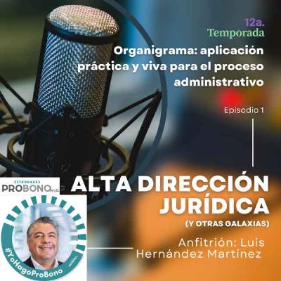 Organigrama: aplicación práctica y viva