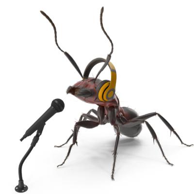 Dr Dini Miller- Associate Professor of Entomology- Virginia Tech