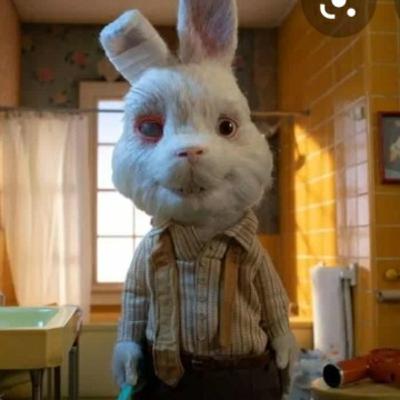 Testeo en animales (Ralph)