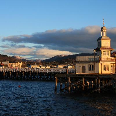 Volunteer stories: Overcoming loneliness and isolation