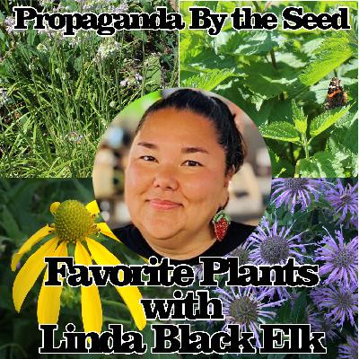 Favorite Plants with Linda Black Elk