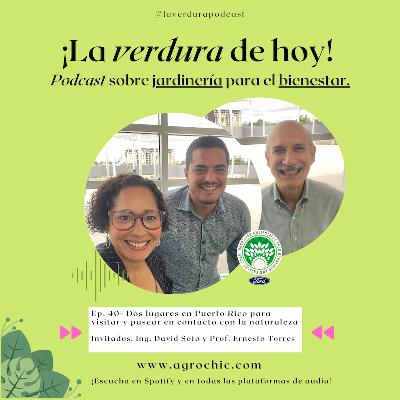 Ep. 40 - Dos lugares en Puerto Rico para visitar y pasear en contacto con la naturaleza