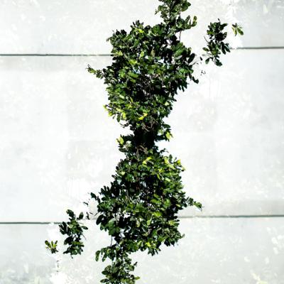 007 - Psalmen remixed