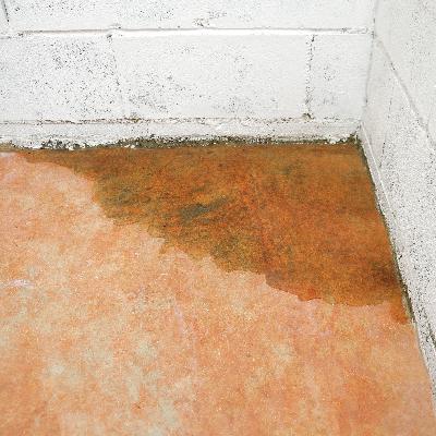 Insulation Misconceptions, Standing Water in Basement, Condensation on Windows