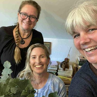 9. Nya sätt att odla - Sara Thorsaeus 9. Nya sätt att odla - Sara Thorsaeus