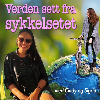 Follow the money: hvem tjener på Oslo-byrådets budsjettkutt? Og er norske politikere for naive?