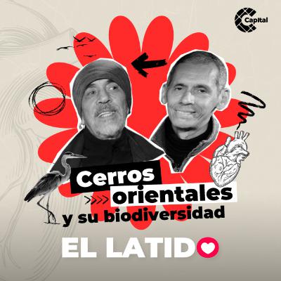 Cerros orientales y su biodiversidad