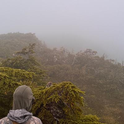 Episode 461 - Hunting blacktail in Southeast Alaska