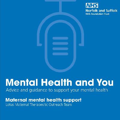 Maternal mental health support