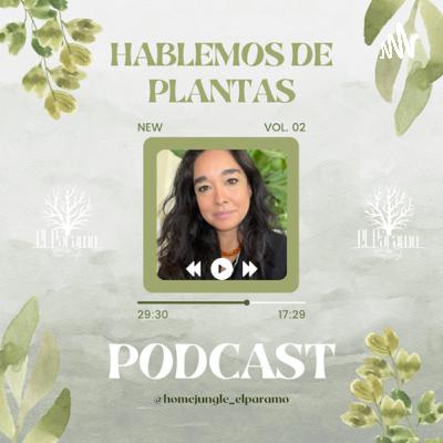 3 consejos básicos para iniciar con plantas en casa. 3 consejos básicos para iniciar con plantas en casa.