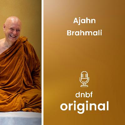 Riktig oppmerksomhet del 1 av 10 | NO | Ajahn Brahmali | Oslo 2025