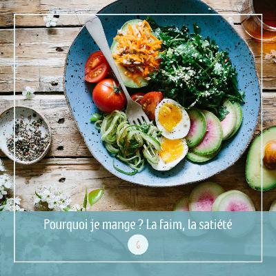 6⎜Pourquoi je mange ? La faim, la satiété