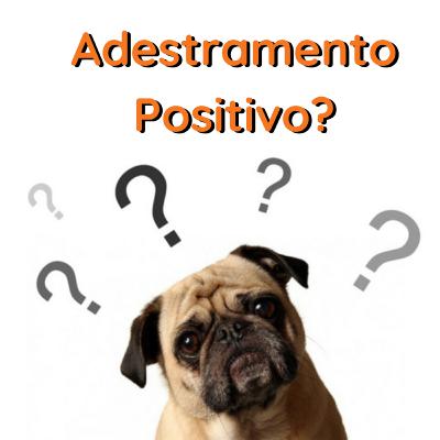 Afinal: o que é Adestramento Positivo? Como funciona?