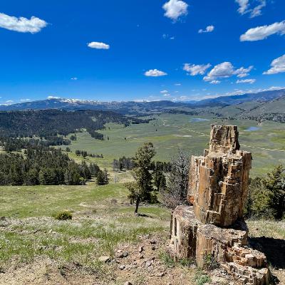 This Week in Yellowstone: August 7th to August 13th, 2025