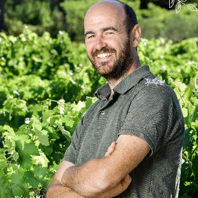 Rencontre avec Jean-Baptiste Granier - Les Vignes Oubliées Rencontre avec Jean-Baptiste Granier - Les Vignes Oubliées