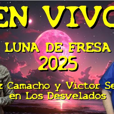 LOS DESVELADOS - 2025 - LUNA LLENA DE FRESA 2025