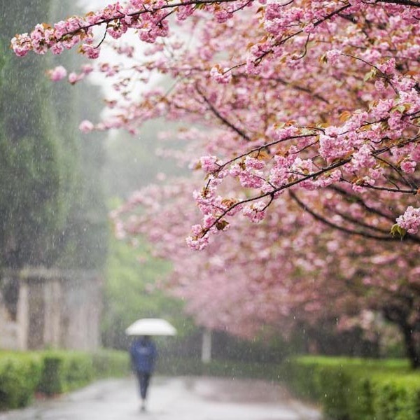 Rain Day - Jesse Cook