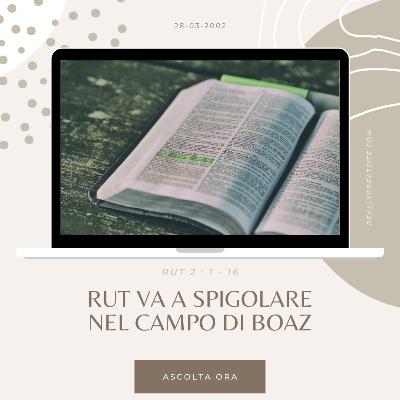 01 - Rut va a spigolare nel campo di Boaz