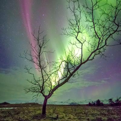 O quanticismo está aí