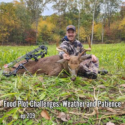 Food Plot Challenges: Weather and Patience