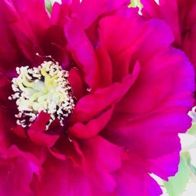 【あなたの行方】《ショートショート》うらん作