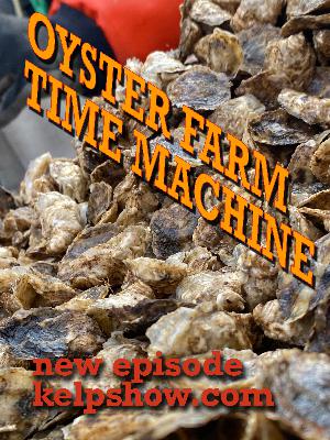 Oyster Farm Time Machine