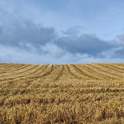 Right Brain Music Podcast Episode 46 - Hidden Headspace Of The Heartland Right Brain Music Podcast Episode 46 - Hidden Headspace Of The Heartland