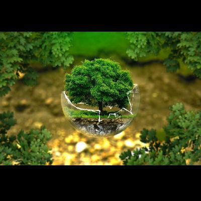 Julen Rekondo, experto en comunicación y asesoria ambiental