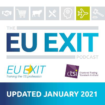 The EU Exit Podcast: Travel Law
