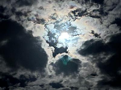 The Art of Weather