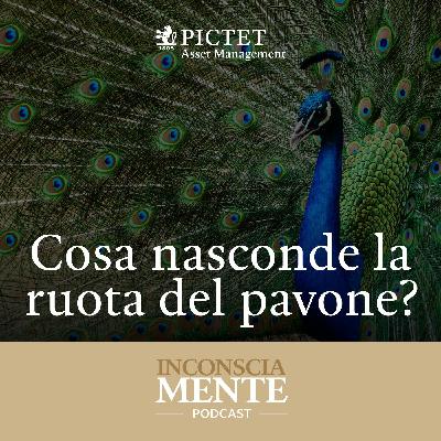 Cosa nasconde la ruota del pavone?