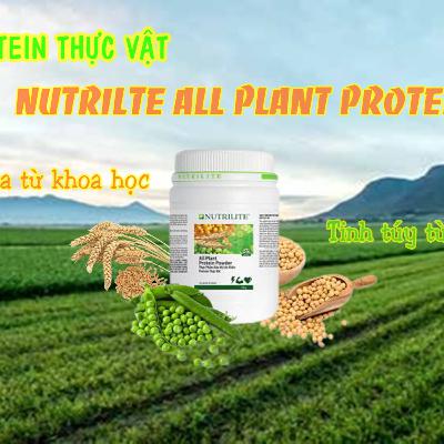 Nutrilite All Plant Protein- Protein Thực Vật