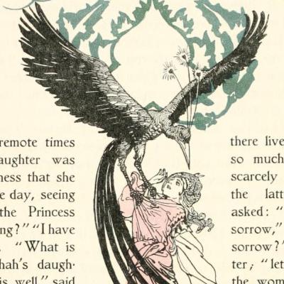 EP 300: Turkiye The Bird of Sorrow (Kunos)