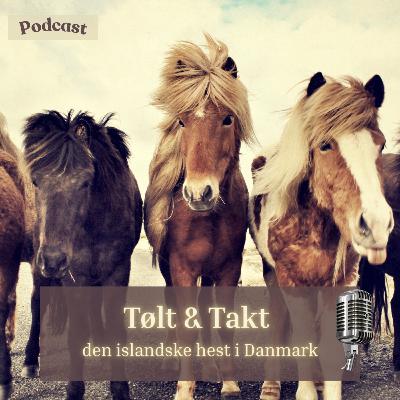 Episode 1: intro til Tølt og Takt Episode 1: intro til Tølt og Takt
