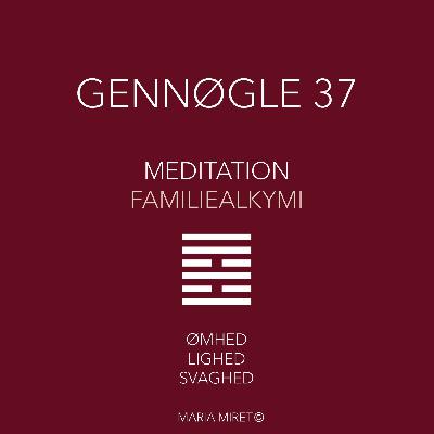 Gennøgle 37 Gennøgle 37