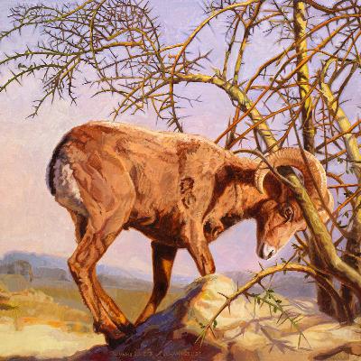 Sunday’s OT and Epistle—Genesis 22:1-14; Hebrews 9:11-15