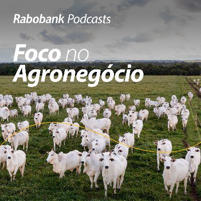 Oferta global desacelera enquanto exportações Brasileiras seguem fortes