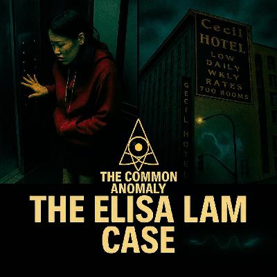 The Elisa Lam Case