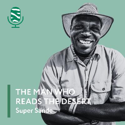The Man Who Reads the Desert