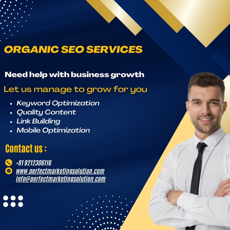 Ecommerce SEO service (2)